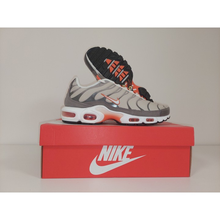 Nike air max plus