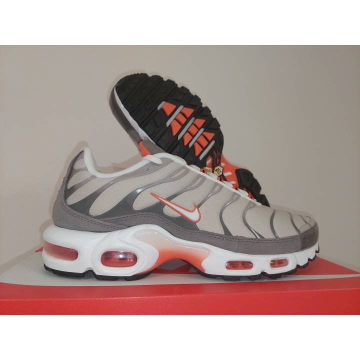 Nike air max plus