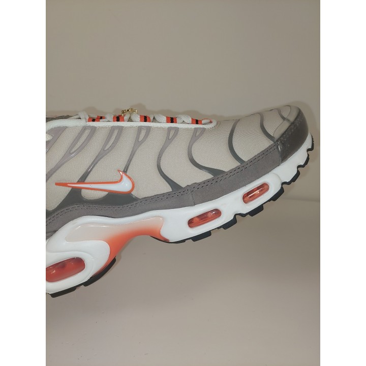 Nike air max plus