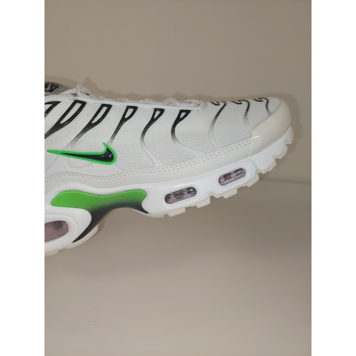 Nike air max plus