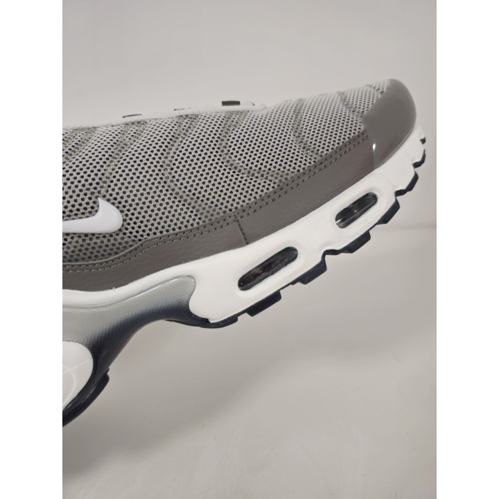 Nike air max plus se