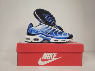 Nike air max plus og