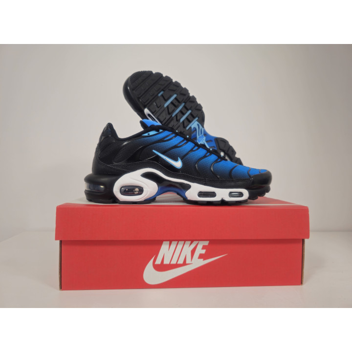 Nike air max plus