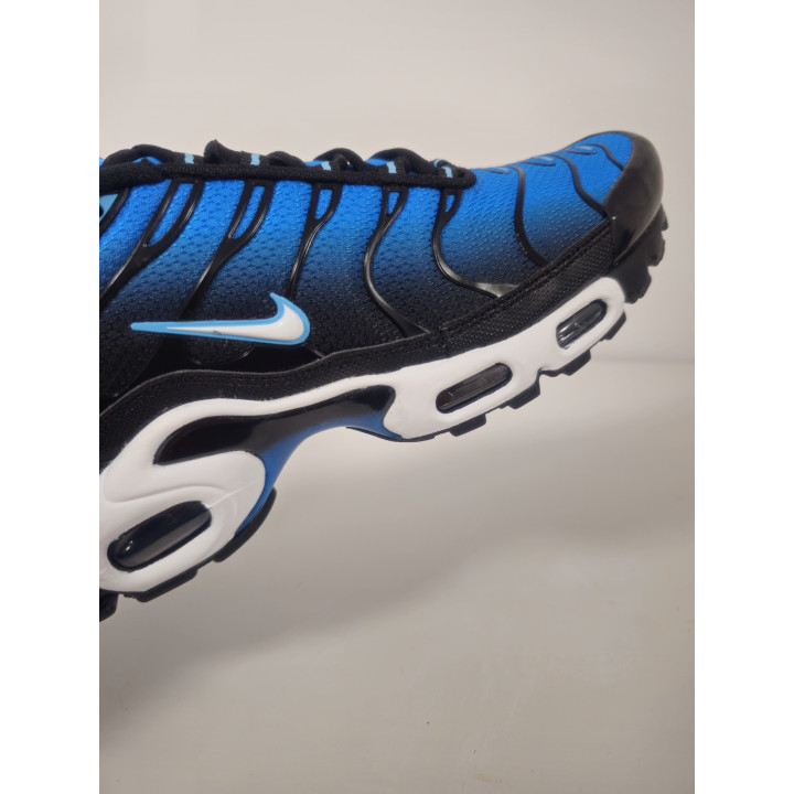 Nike air max plus