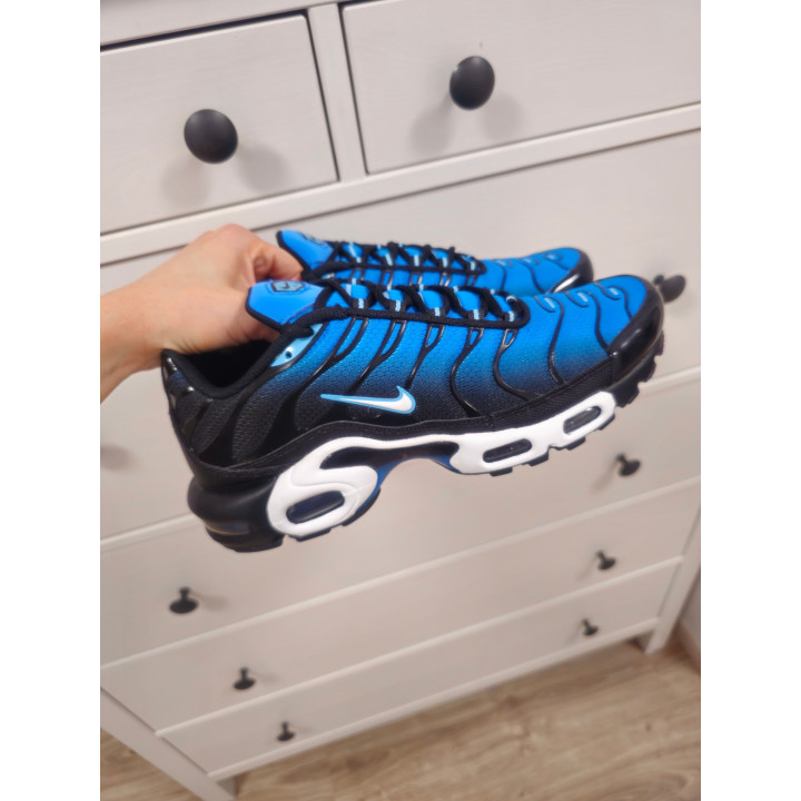 Nike air max plus