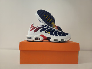 Nike air max plus