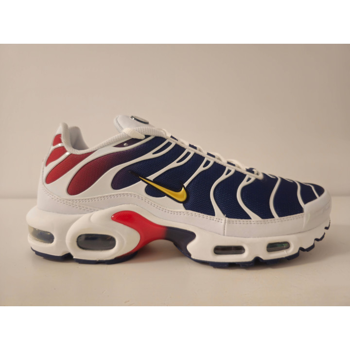 Nike air max plus