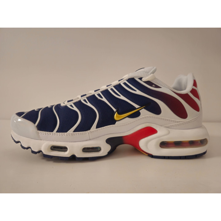 Nike air max plus
