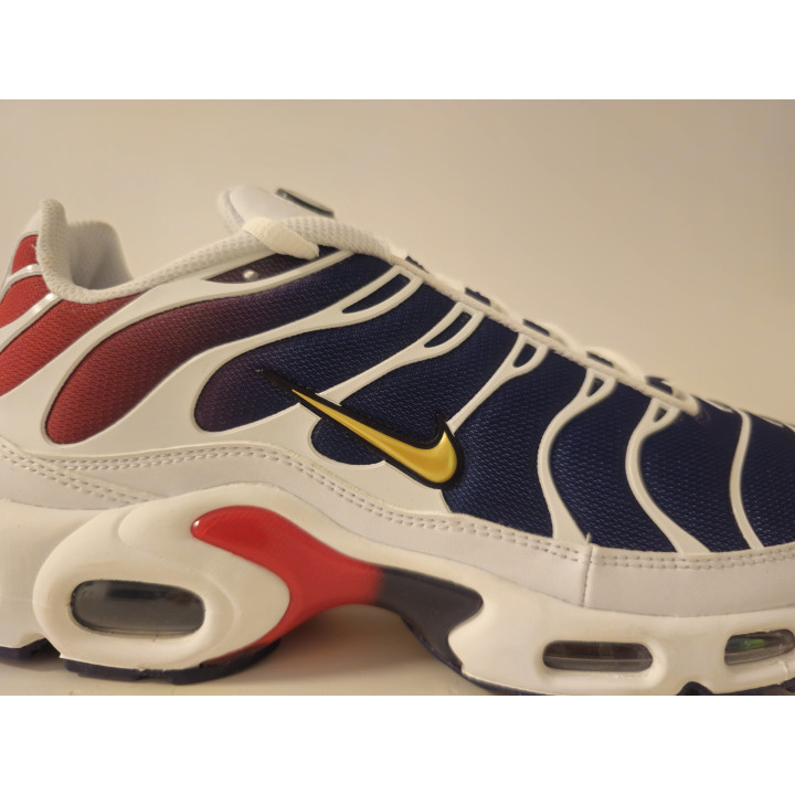 Nike air max plus