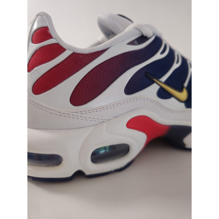 Nike air max plus