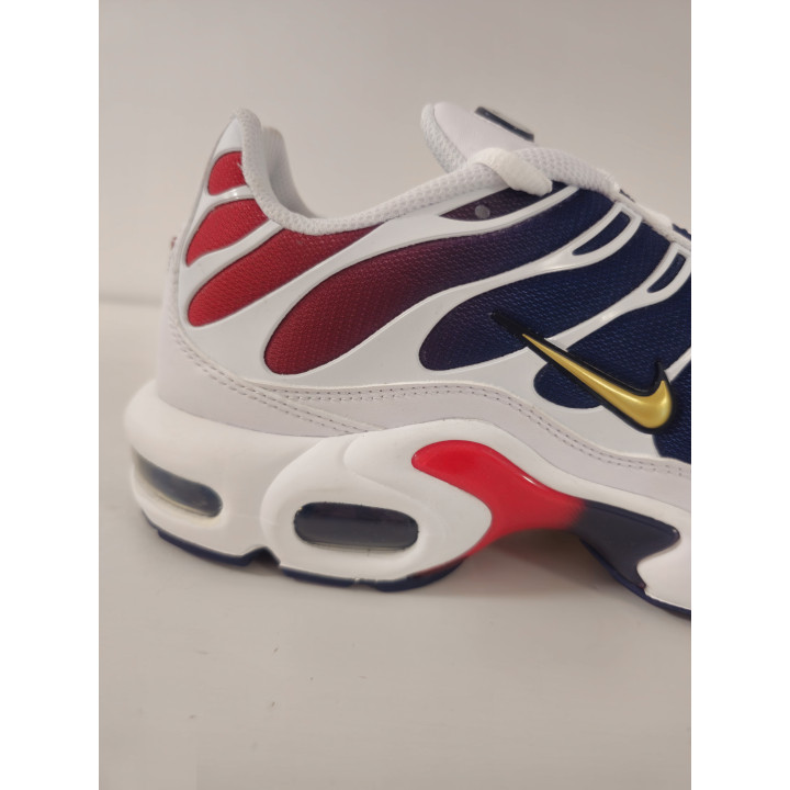 Nike air max plus