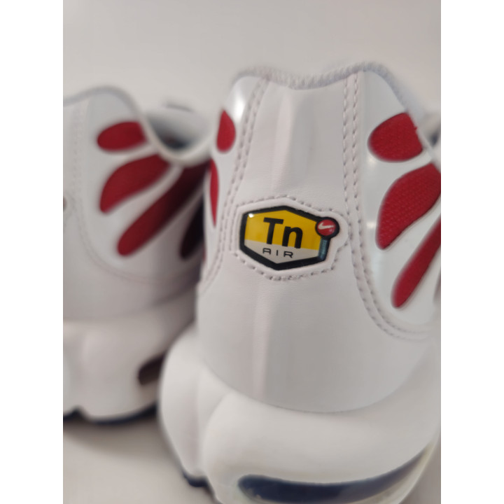 Nike air max plus