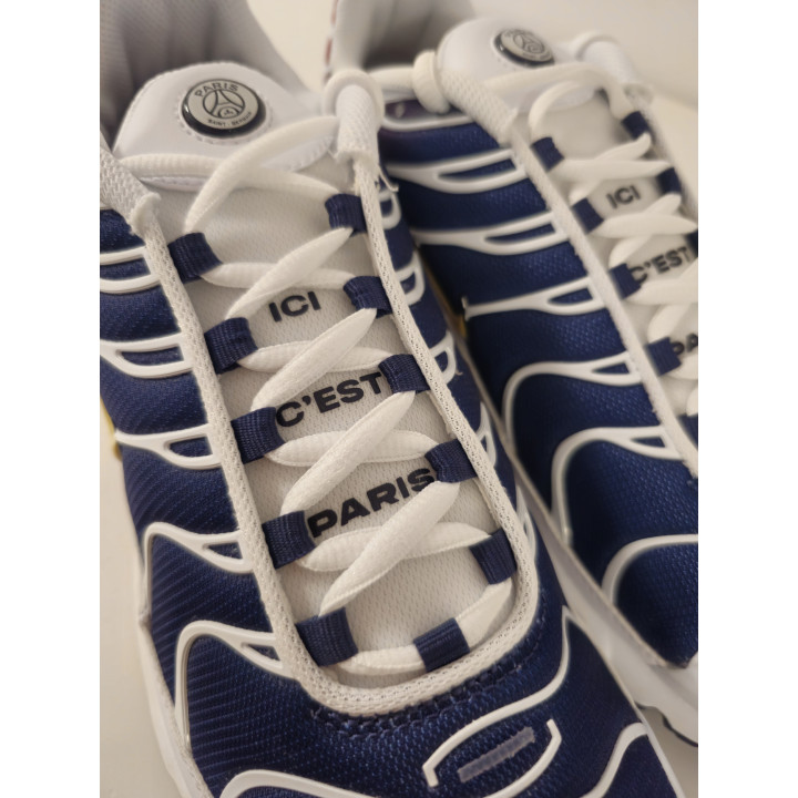 Nike air max plus