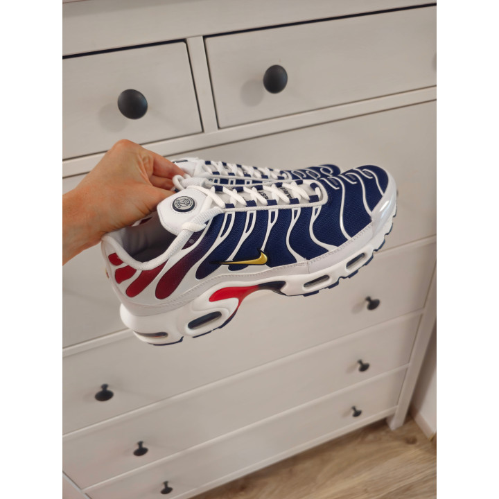 Nike air max plus