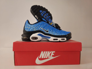 Nike air max plus