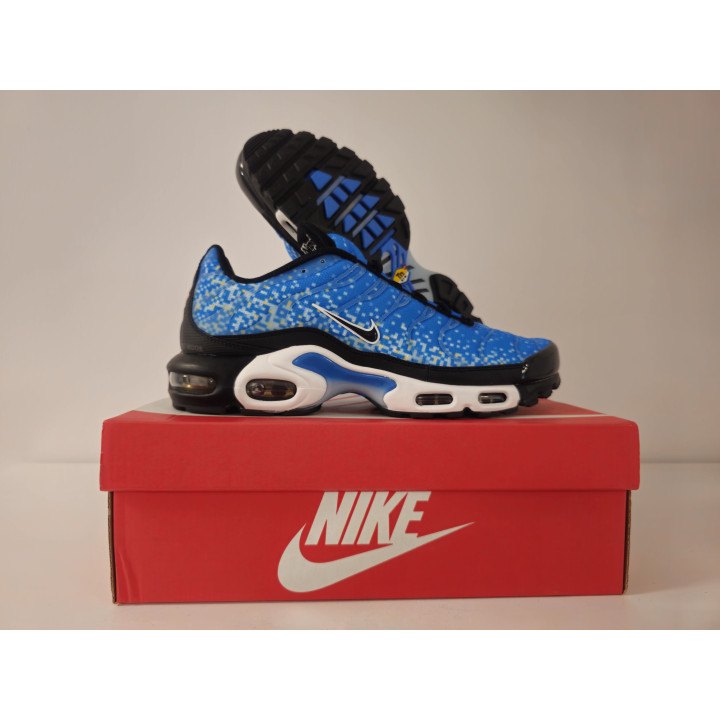 Nike air max plus