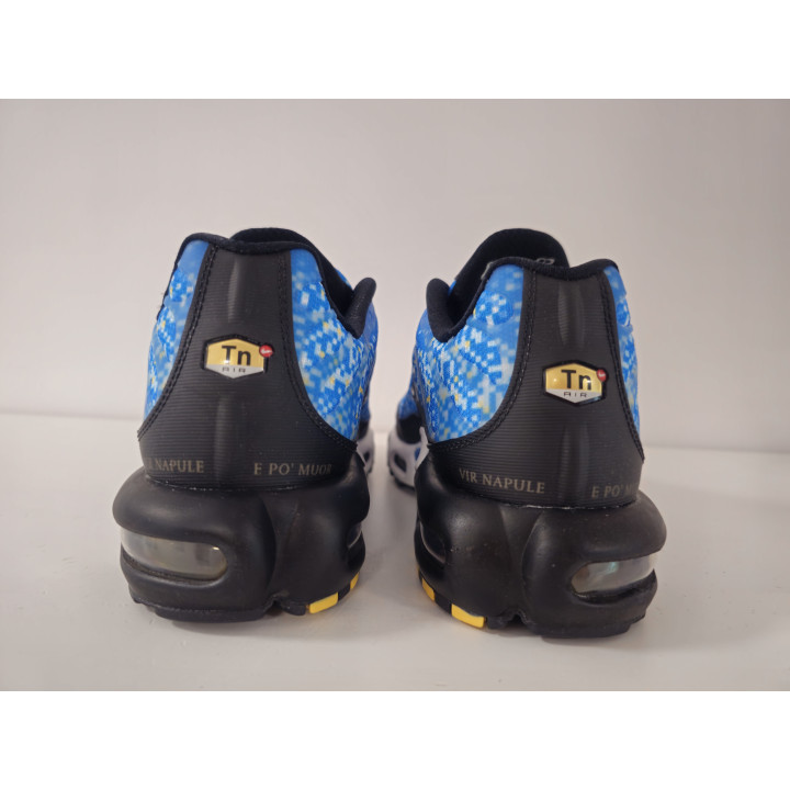 Nike air max plus