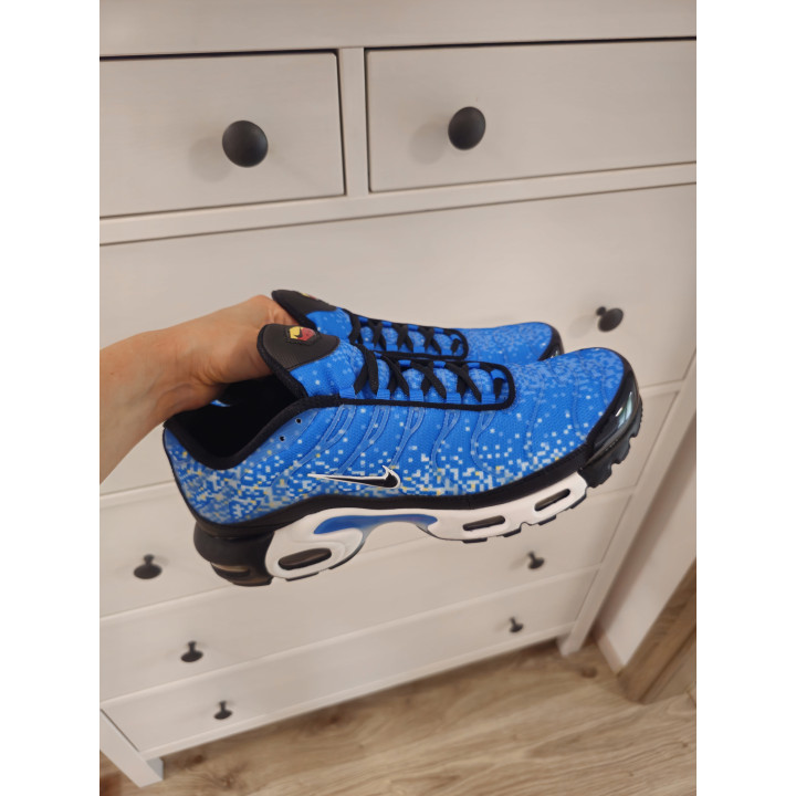 Nike air max plus