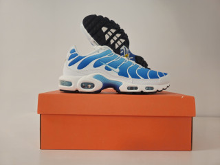 Nike air max plus