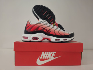 Nike air max plus