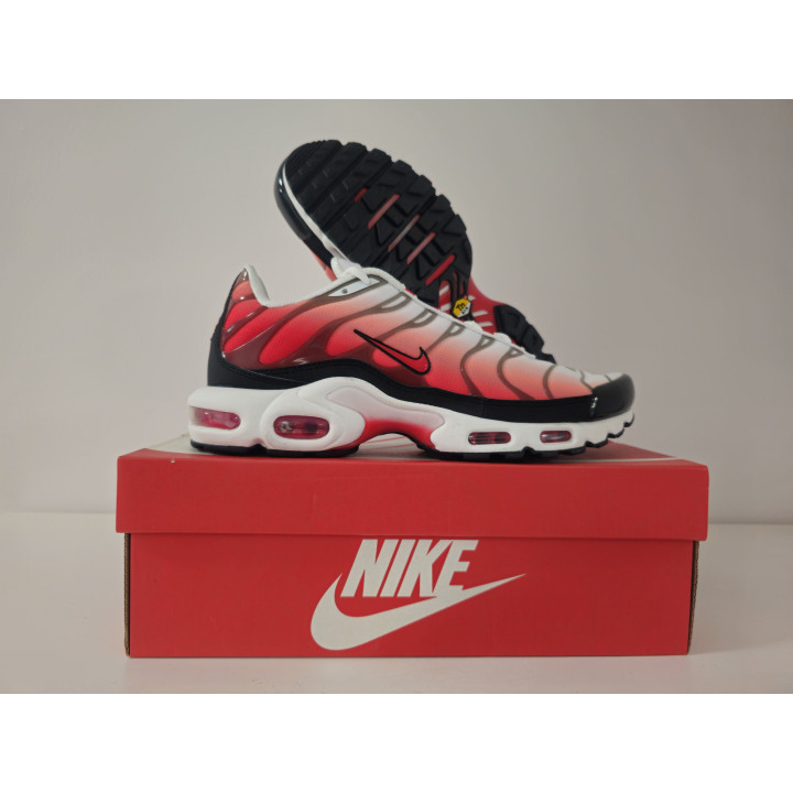 Nike air max plus