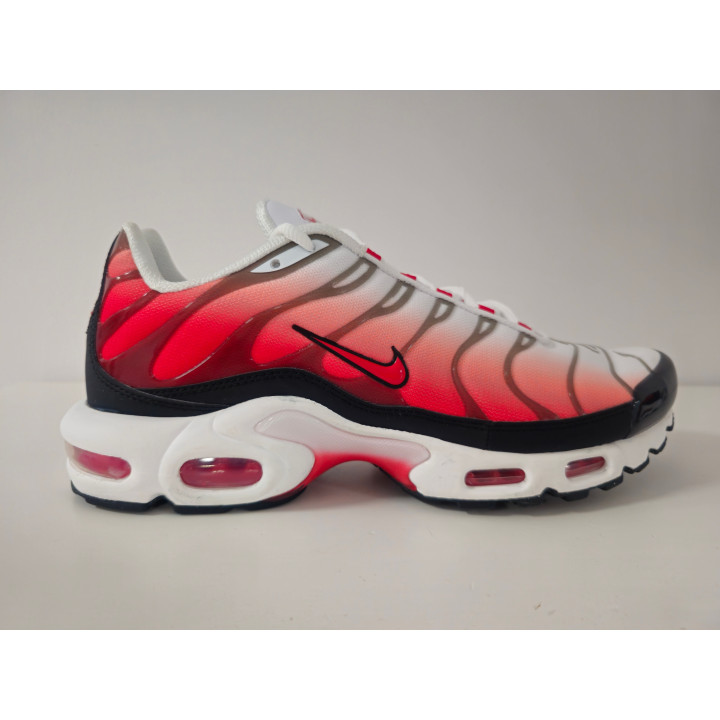 Nike air max plus