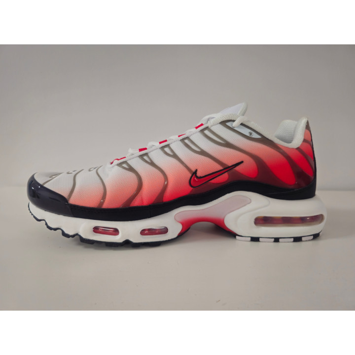 Nike air max plus