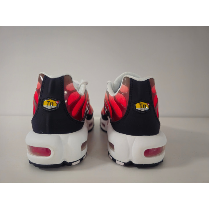 Nike air max plus