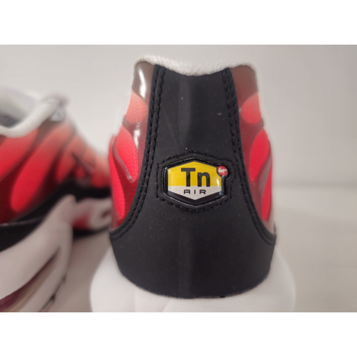 Nike air max plus