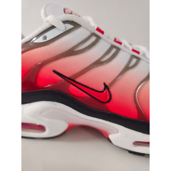 Nike air max plus