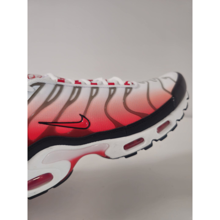 Nike air max plus
