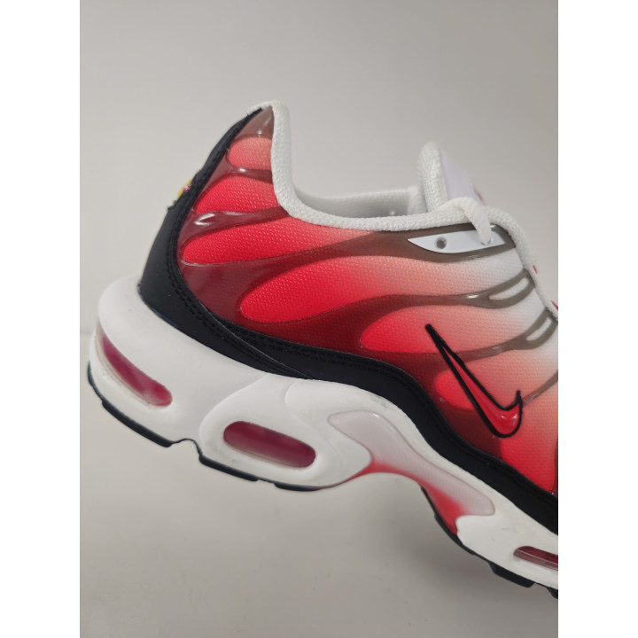 Nike air max plus