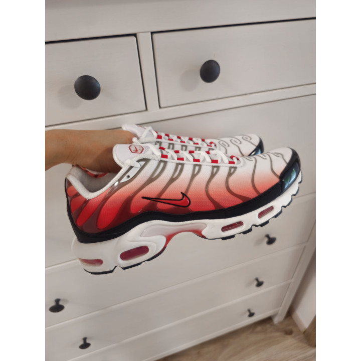 Nike air max plus