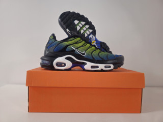 Nike air max plus