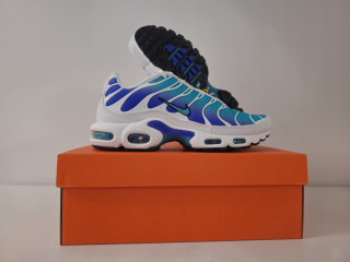 Nike air max plus